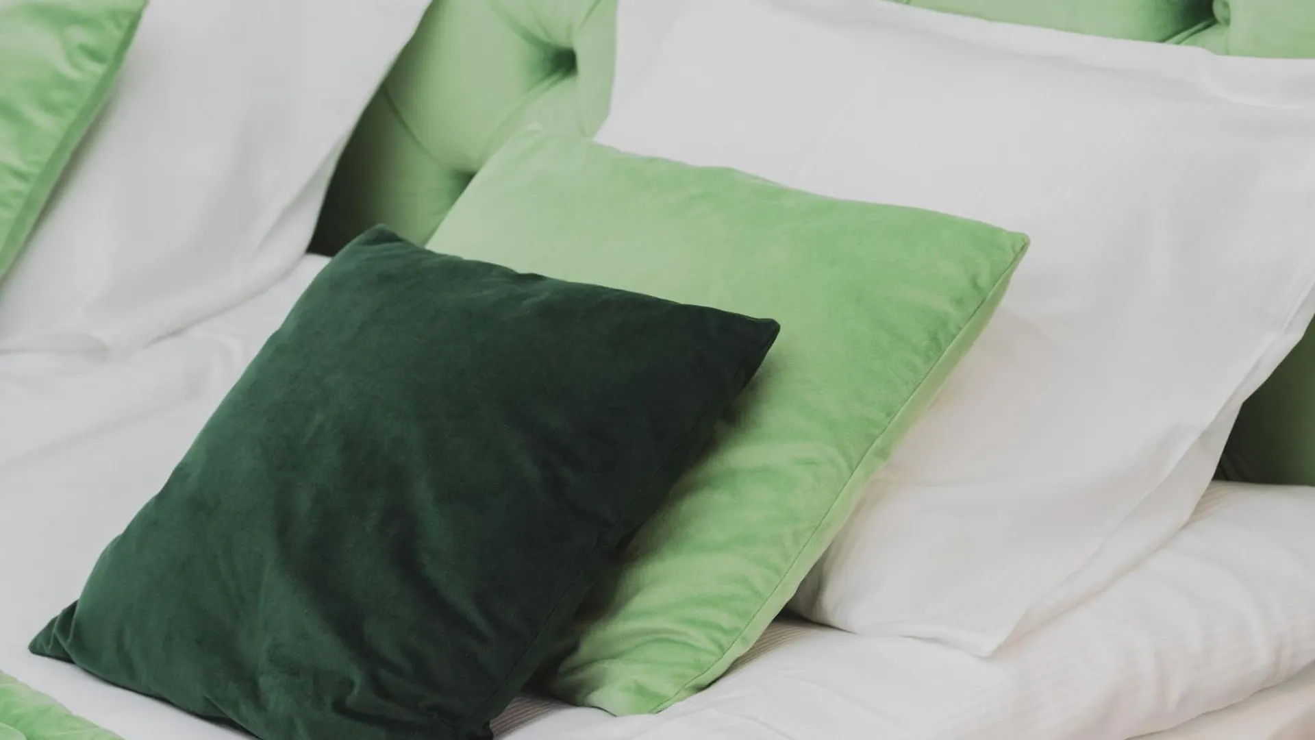 Green Apartment In Gdansk With Free Access To The Gym And Parking By Noclegi Renters
